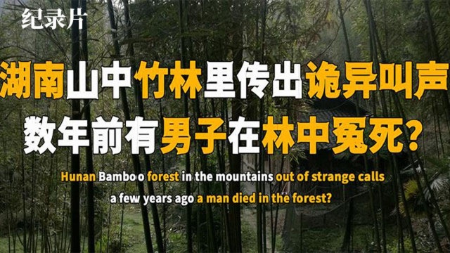 湖南男子冤死山中竹林,数年后竹林传出诡异叫声,情景被摄像记录