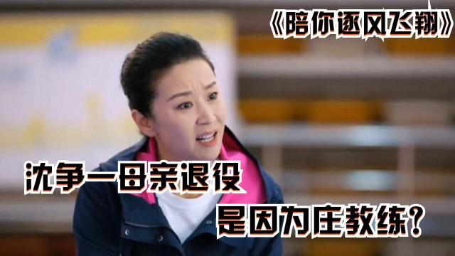 陪你逐风飞翔沈争一母亲退役是庄教练所为邵北笙感情受挫