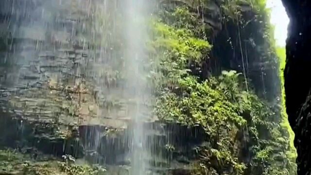 天平山上白云泉云自无心水自闲.何必奔冲山下去更添波浪向人间.