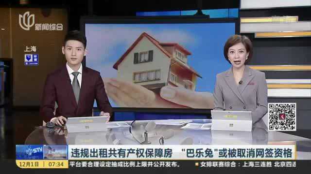 违规出租共有产权保障房 “巴乐兔”或被取消网签资格