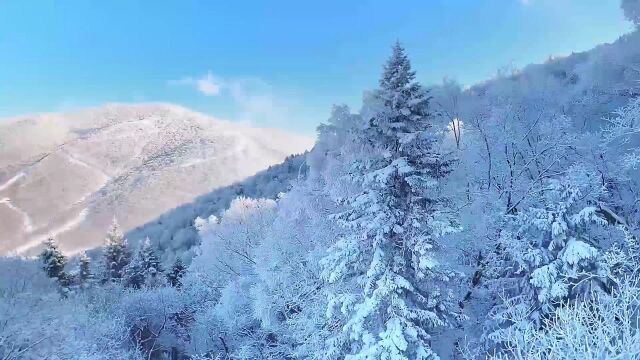 观长白丨粉雪:松花湖与你温暖相约!