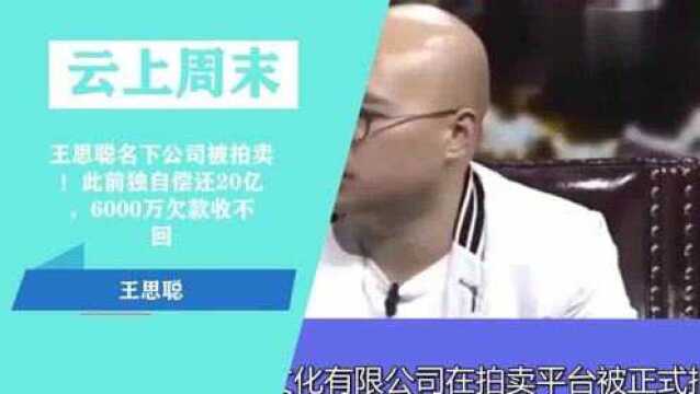 王思聪名下公司被拍卖!此前独自偿还20亿,6000万欠款收不回