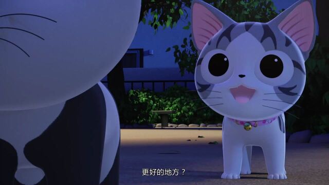 甜甜私房猫:小奇为了去玩耍,不惜挣脱脖子里的项圈,看着都疼!