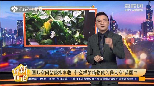 国际空间站辣椒丰收 什么样的植物能入选太空“菜园”?