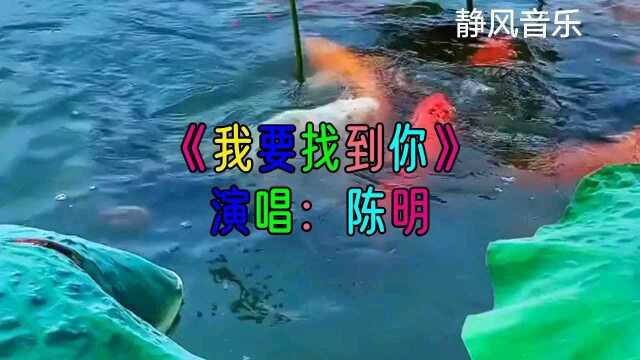 歌曲《我要找到你》演唱:陈明