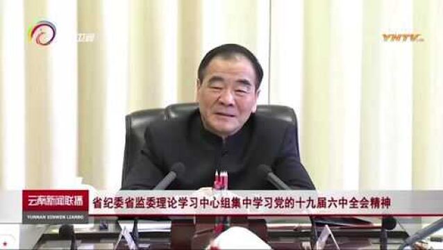 云南省纪委省监委理论学习中心组集中学习党的十九届六中全会精神