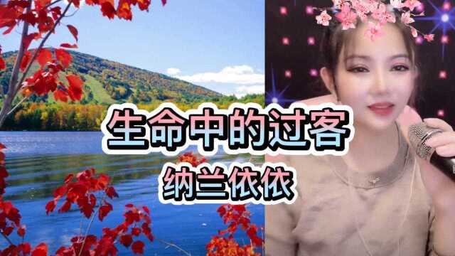 音乐欣赏,生命中的过客,纳兰依依演唱