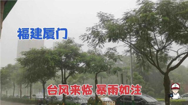 实拍福建厦门,台风来临暴雨倾盆,这雨量太吓人了