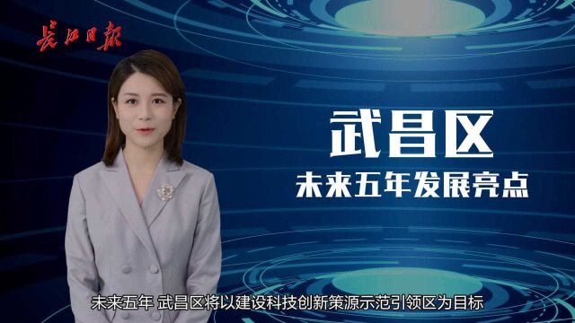 AI主播解读党代会报告 | 武昌区建设科技创新策源示范引领区!未来五年这样干