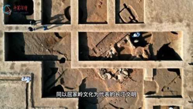 河南苏羊遗址发现距今5000年前后多元文化交流重要实证