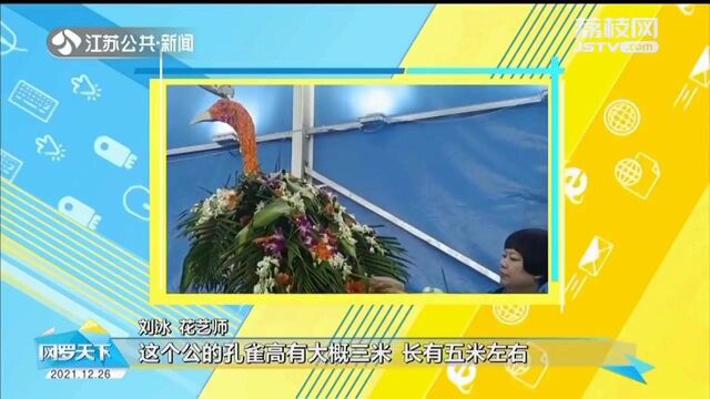 花瓣也能做成孔雀 花艺师用两万片花瓣粘贴出一对孔雀