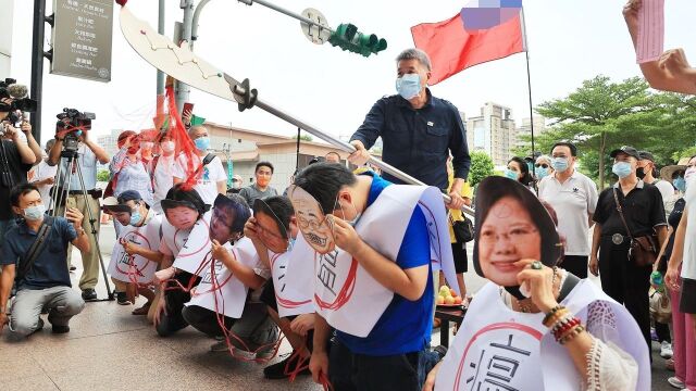 蔡英文博士论文造假,张亚中不再忍耐,提起关刀冲向民进党党部