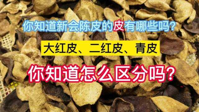 你知道新会陈皮的“皮”有哪些吗?你知道如何区分吗?哪种最好?