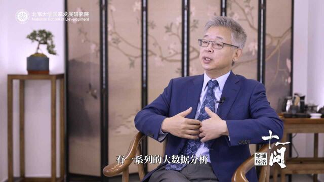 黄益平:构建服务中小企业创新发展的金融体系 最核心的是信用风险管理