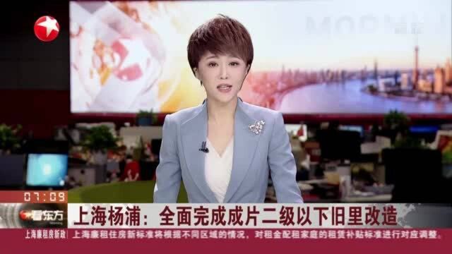 上海杨浦:全面完成成片二级以下旧里改造