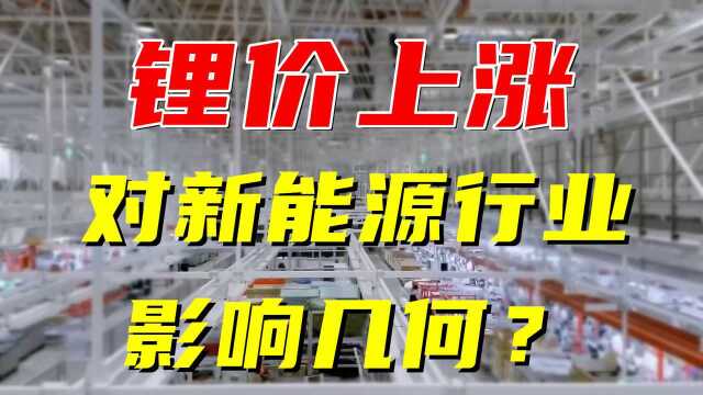 锂电材料价格上涨,对新能源行业影响几何?