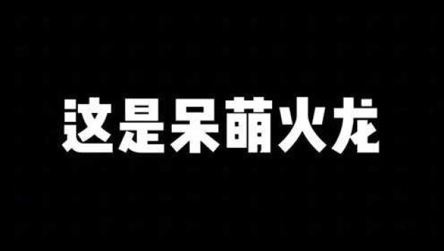 这四部电影中的火龙,你觉得哪个更厉害,呆萌火龙好可爱啊#影视剪辑