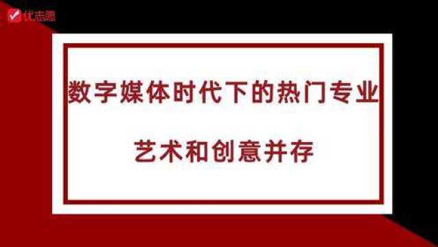 数字媒体时代下的热门专业、艺术和创意并存