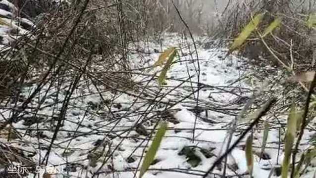 2022年舟山的第一场雪来了!这里hin高冷~