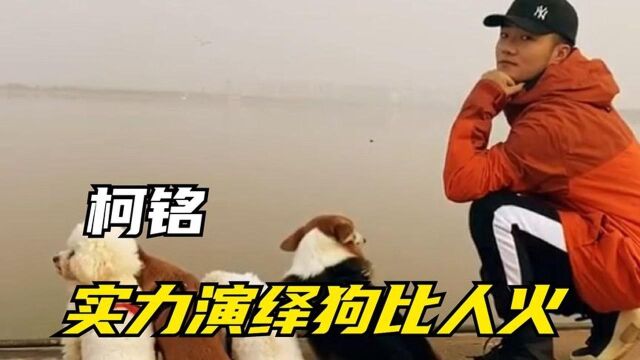 柯铭:一人四狗圈粉数千万,狗界甄嬛爆火网络,实力演绎狗比人火