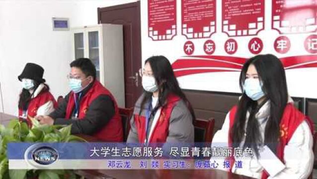 砀山:大学生志愿服务 尽显青春靓丽底色