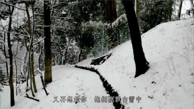 飘雪笛筝交融