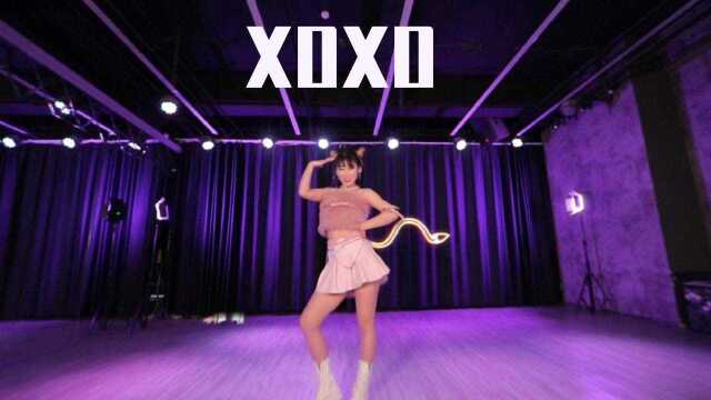 超酷双丸子SOMI《XOXO》姜小二同学