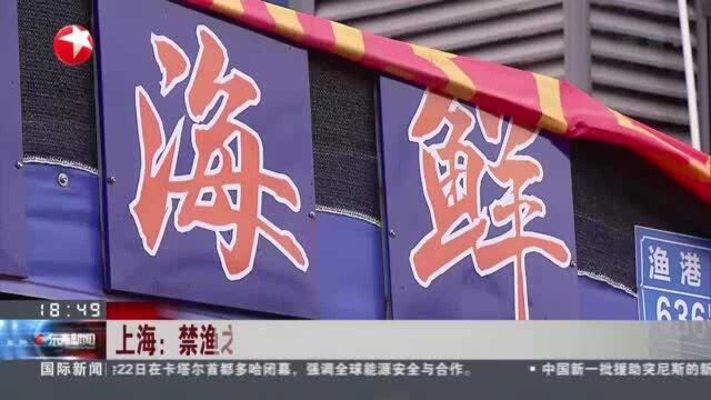 上海:禁渔之后替代品海刀走俏 人工养殖刀鱼端上餐桌