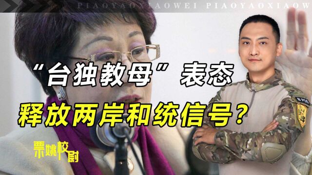 中国很快就会统一?“台独教母”惊人言论,妄图对大陆战略欺诈