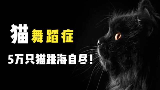 5万只猫跳海自尽!日本69年前这场奇案背后,到底隐藏了什么?