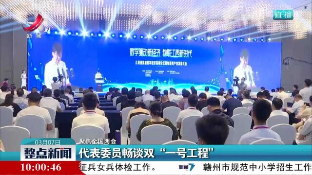 【聚焦全国两会】代表委员畅谈双“一号工程”