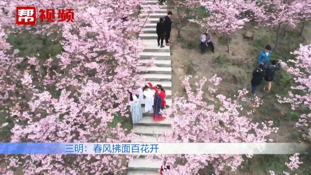 踏青赏花正当时!春风拂面百花盛开,成为一道道亮丽风景线