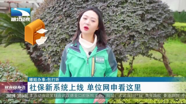 【娜姐办事(包打听)】社保新系统上线 单位网申看这里