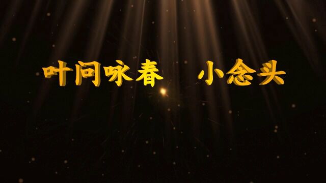 叶问咏春第一套拳:小念头(叶准大弟子何基正面侧面标准示范 )