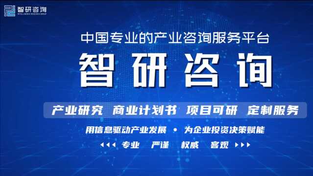 2021年中国智慧水务行业发展现状分析报告(简版)