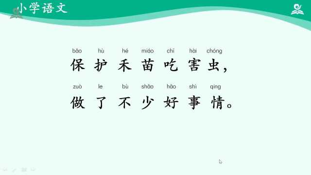 一年级语文下册国家云课堂教学视频.第1单元3.小青蛙第二课时