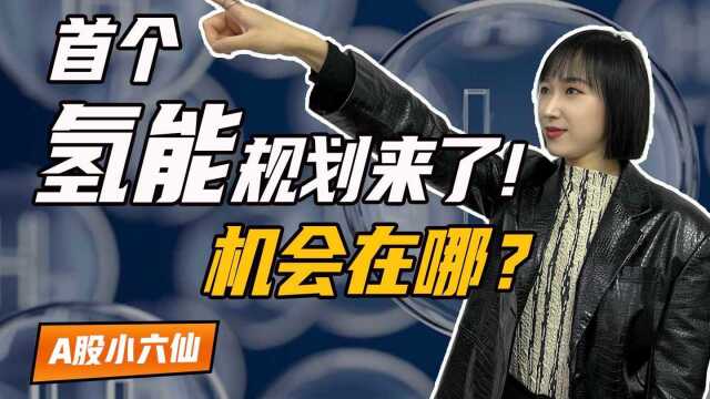 首个氢能产业发展规划来了!规模超万亿,重点在可再生能源制氢!