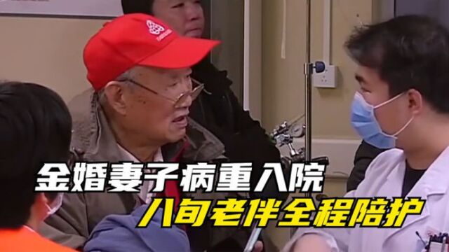 金婚妻子病重入院,八旬老伴独自照顾妻子,真正夫妻都是生死之交