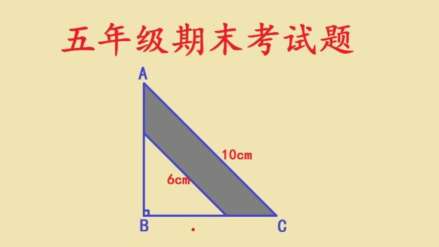 北京海淀区五年级期末考试,几何压轴题,求梯形面积