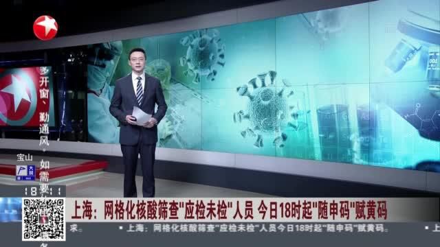 上海:网格化核酸筛查“应检未检”人员 今日18时起“随申码”赋黄码