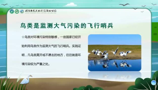 衡东洣水国家湿地公园“爱鸟周”线上科普知识讲座开课啦