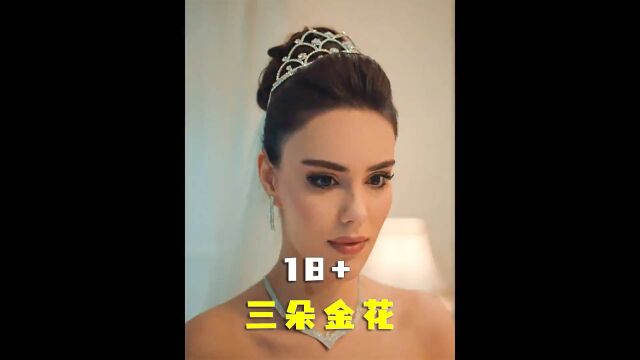 三朵金花17