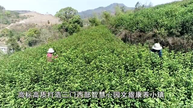 三提三争 公开晾诺 | 三门县珠岙镇:推动量质齐升 提升发展动能 全力建设五美珠岙