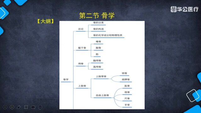 【华公】医学基础知识解剖学精讲02第一章 运动系统 第二节 骨学01