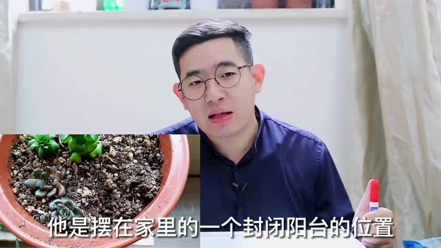 黑龙江花友参与《秀花》投稿第二期