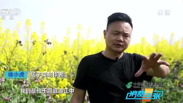 经典民间味道!益阳坛子菜亮相央视《消费主张》