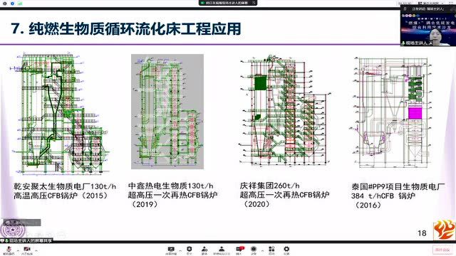 会议视频|专题一:生物质耦合的未来及挑战(下)