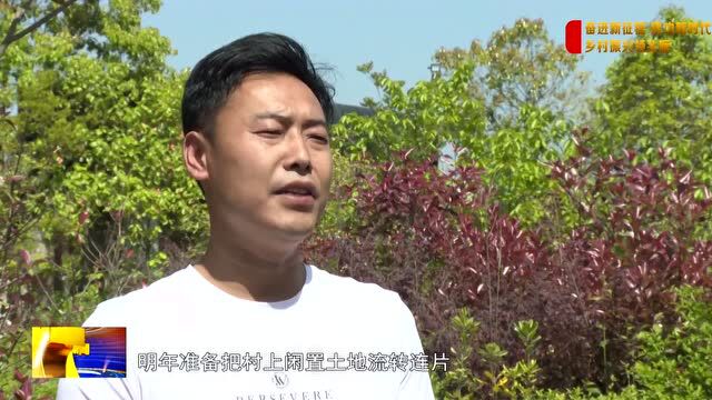 【奋进新征程 建功新时代 乡村振兴领头雁】莲藕田里的“泥腿子” 高级职业农民——牛亮