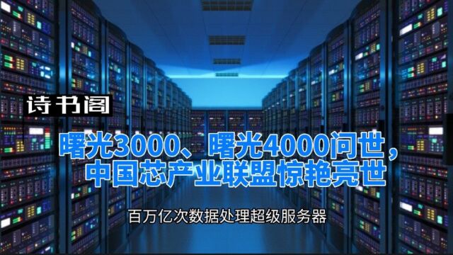 曙光4000诞生,中国芯产业联盟惊艳亮世,中国计算机迎来新起点