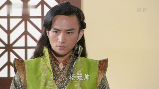 这也是我来找杨元师